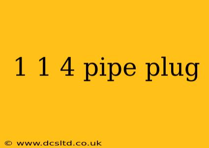 1 1 4 pipe plug