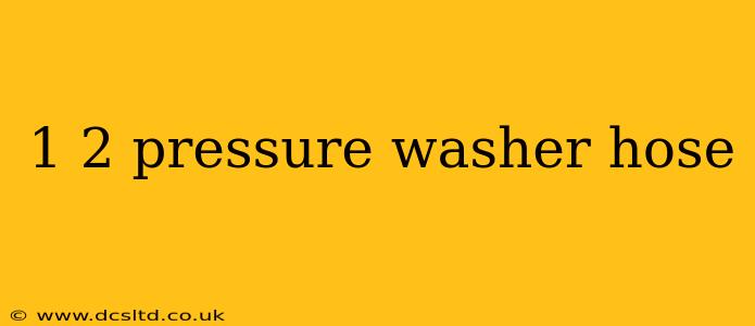 1 2 pressure washer hose