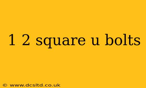 1 2 square u bolts