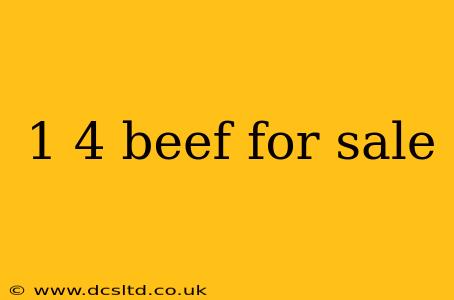 1 4 beef for sale