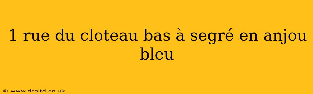 1 rue du cloteau bas à segré en anjou bleu
