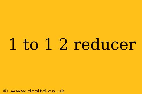 1 to 1 2 reducer