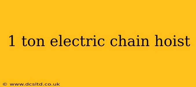 1 ton electric chain hoist