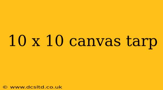 10 x 10 canvas tarp
