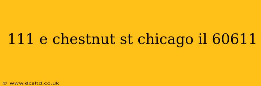 111 e chestnut st chicago il 60611