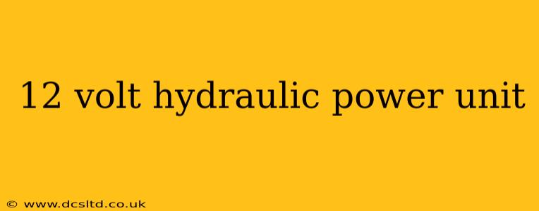 12 volt hydraulic power unit