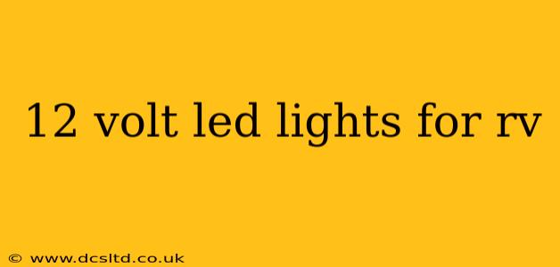 12 volt led lights for rv