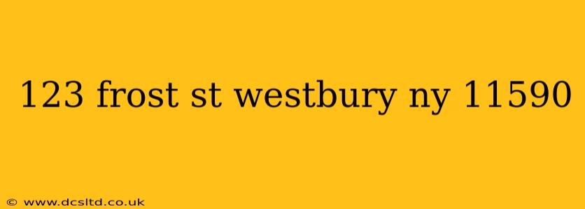123 frost st westbury ny 11590