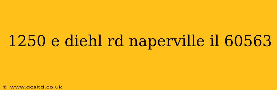 1250 e diehl rd naperville il 60563