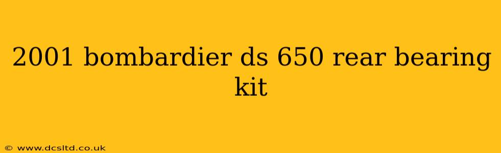 2001 bombardier ds 650 rear bearing kit