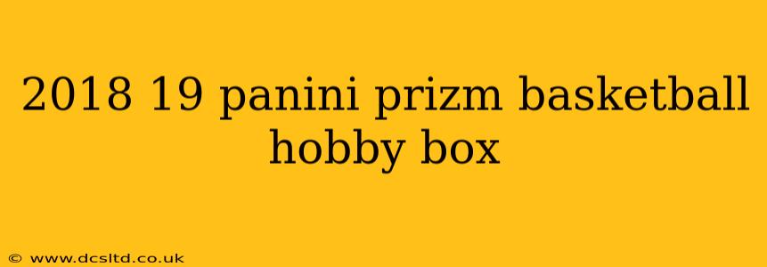2018 19 panini prizm basketball hobby box