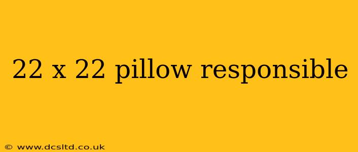 22 x 22 pillow responsible