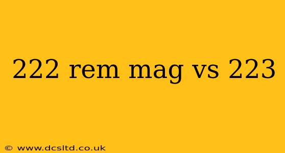 222 rem mag vs 223