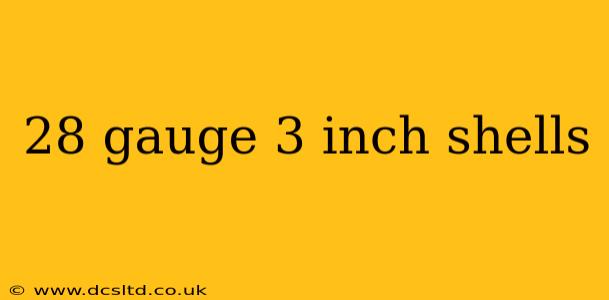 28 gauge 3 inch shells