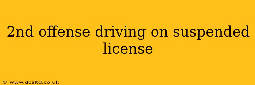 2nd offense driving on suspended license