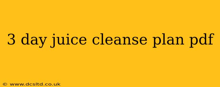 3 day juice cleanse plan pdf