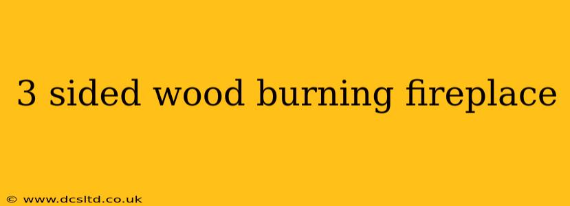 3 sided wood burning fireplace
