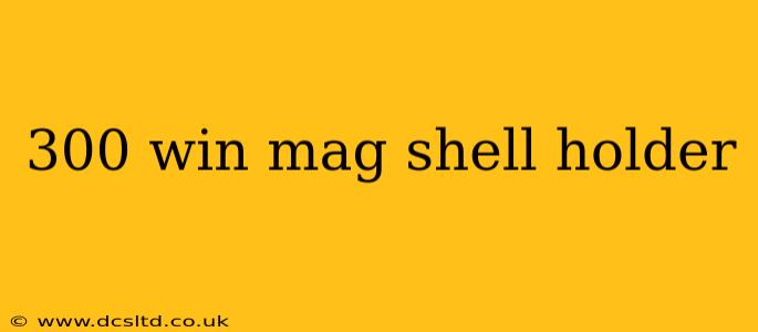 300 win mag shell holder