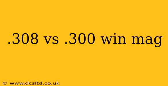 .308 vs .300 win mag