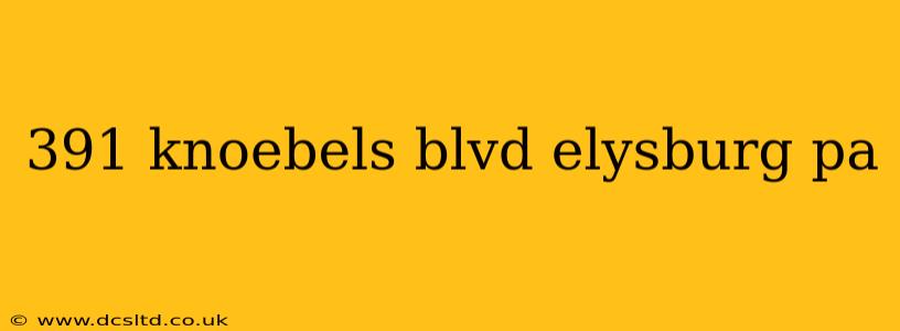 391 knoebels blvd elysburg pa