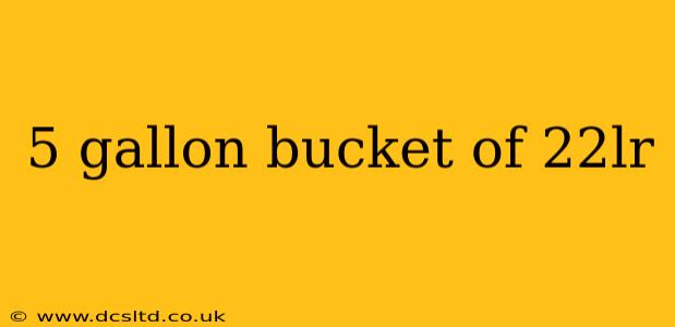 5 gallon bucket of 22lr