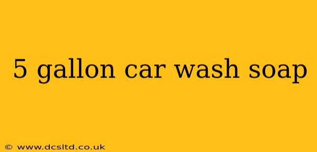 5 gallon car wash soap