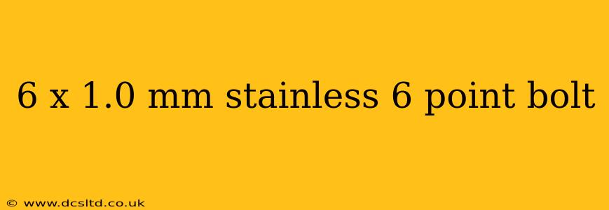 6 x 1.0 mm stainless 6 point bolt