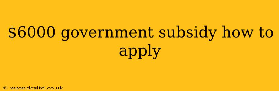 $6000 government subsidy how to apply