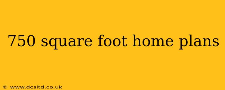 750 square foot home plans