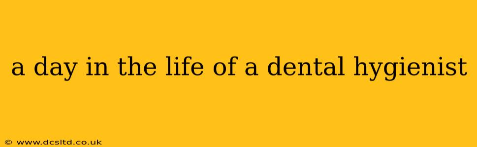 a day in the life of a dental hygienist