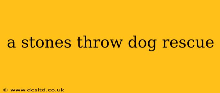 a stones throw dog rescue