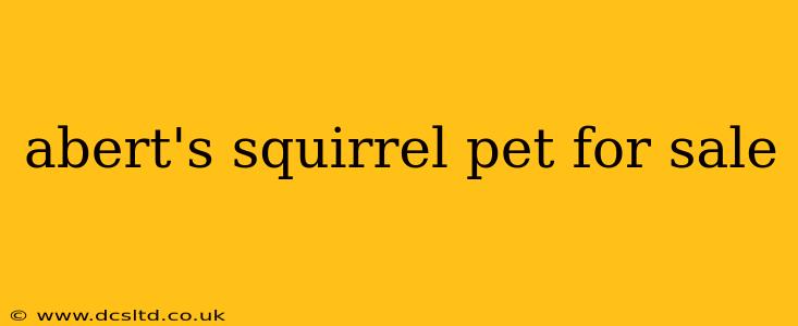 abert's squirrel pet for sale