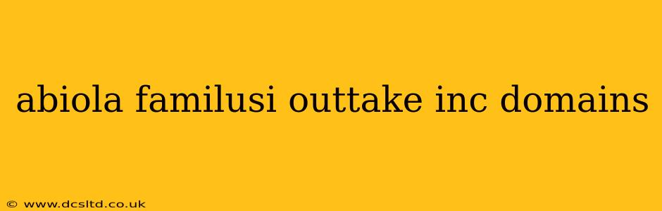 abiola familusi outtake inc domains