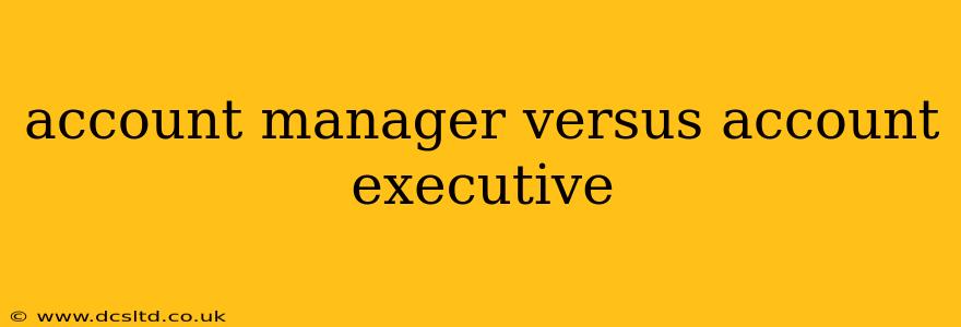 account manager versus account executive