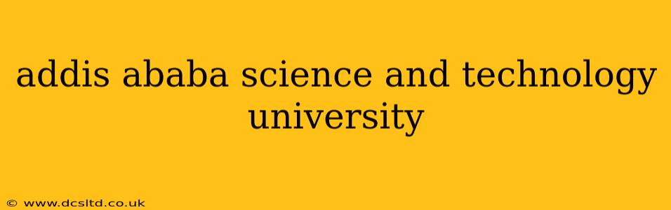 addis ababa science and technology university