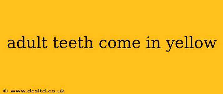 adult teeth come in yellow