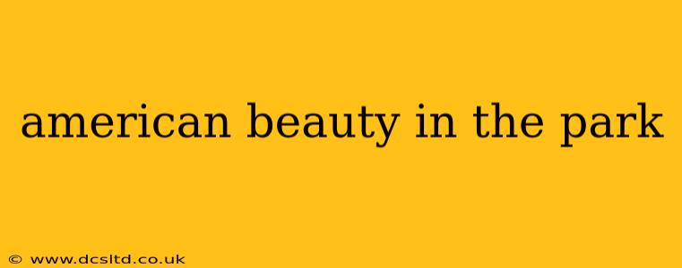 american beauty in the park