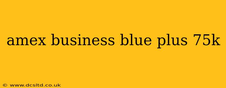 amex business blue plus 75k