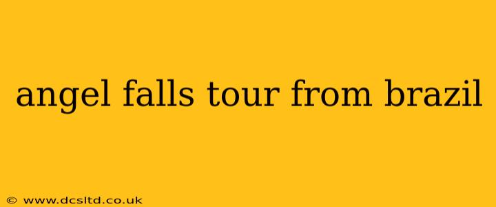 angel falls tour from brazil