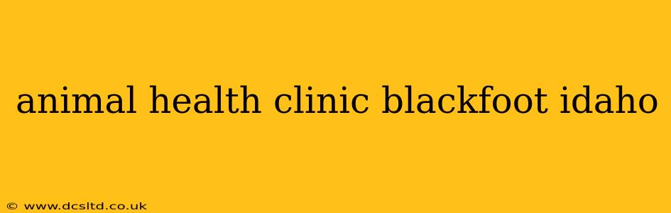 animal health clinic blackfoot idaho
