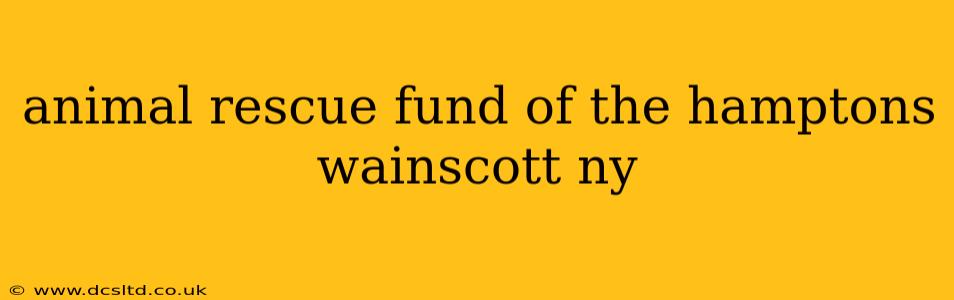 animal rescue fund of the hamptons wainscott ny