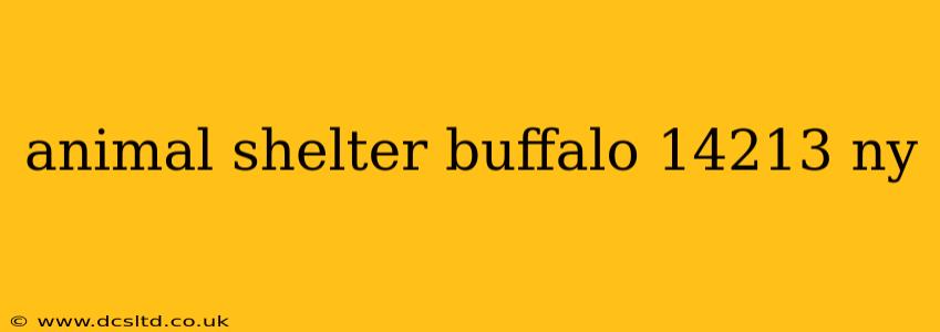 animal shelter buffalo 14213 ny