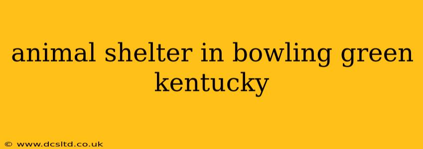 animal shelter in bowling green kentucky
