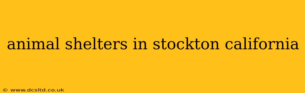animal shelters in stockton california