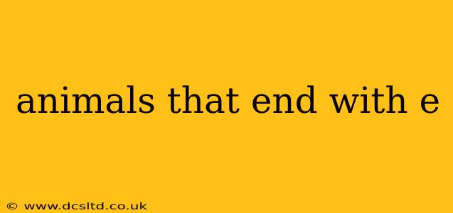 animals that end with e