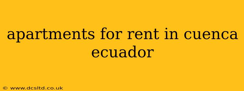 apartments for rent in cuenca ecuador