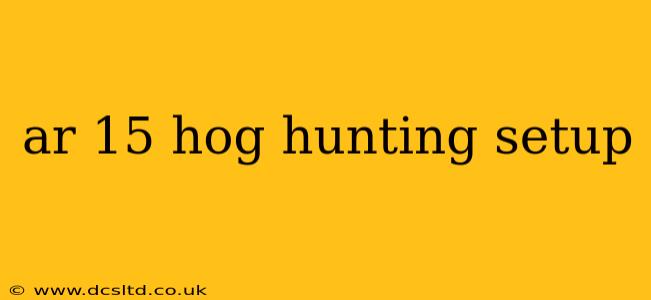 ar 15 hog hunting setup