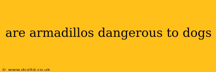 are armadillos dangerous to dogs