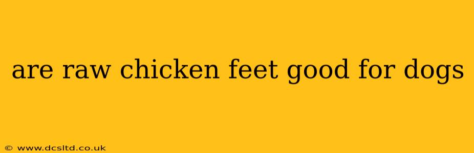 are raw chicken feet good for dogs