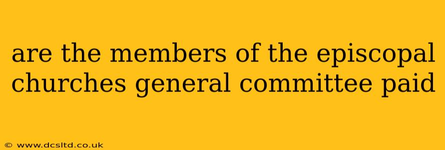 are the members of the episcopal churches general committee paid